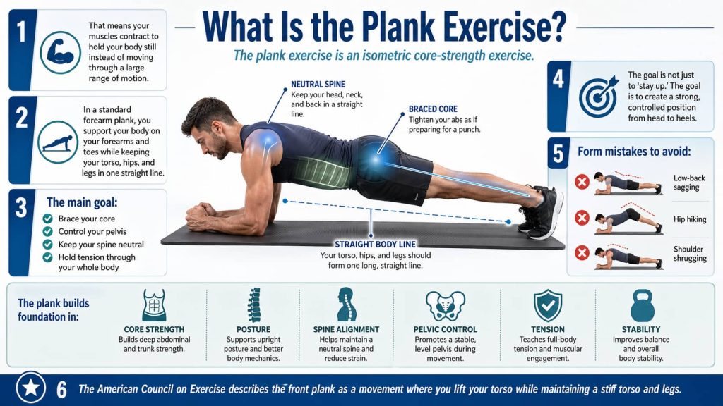 What Is the Plank Exercise?
