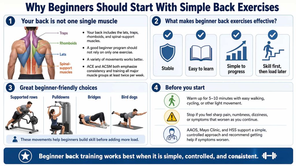 Why beginners should start with simple back exercises