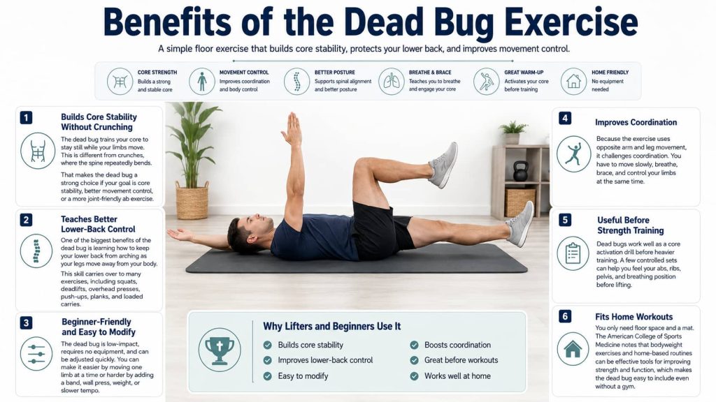 Benefits of the Dead Bug Exercise
