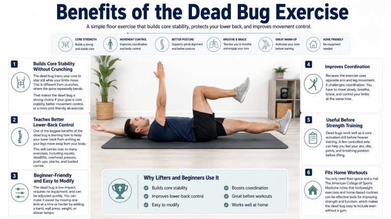 Dead Routine Dead Bug Exercise: Build Core Strength With Perfect Form