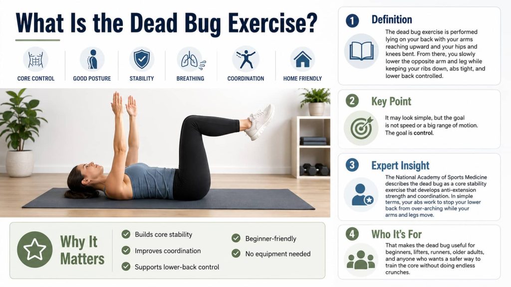 What Is the Dead Bug Exercise?