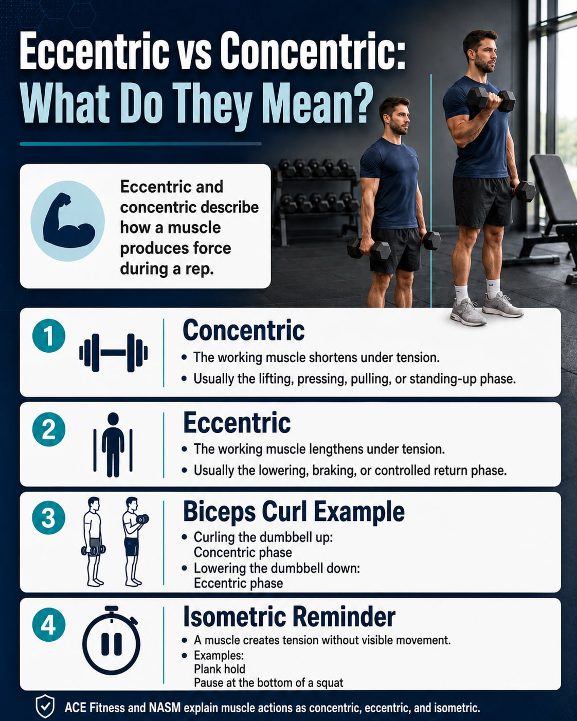 Eccentric vs Concentric: What Do They Mean?