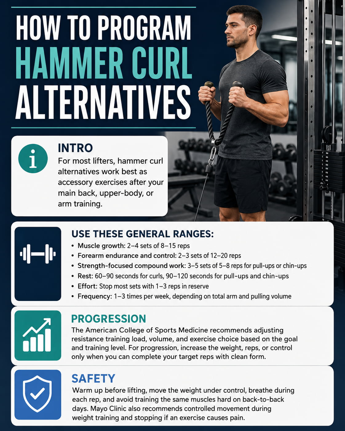 How to Program Hammer Curl Alternatives