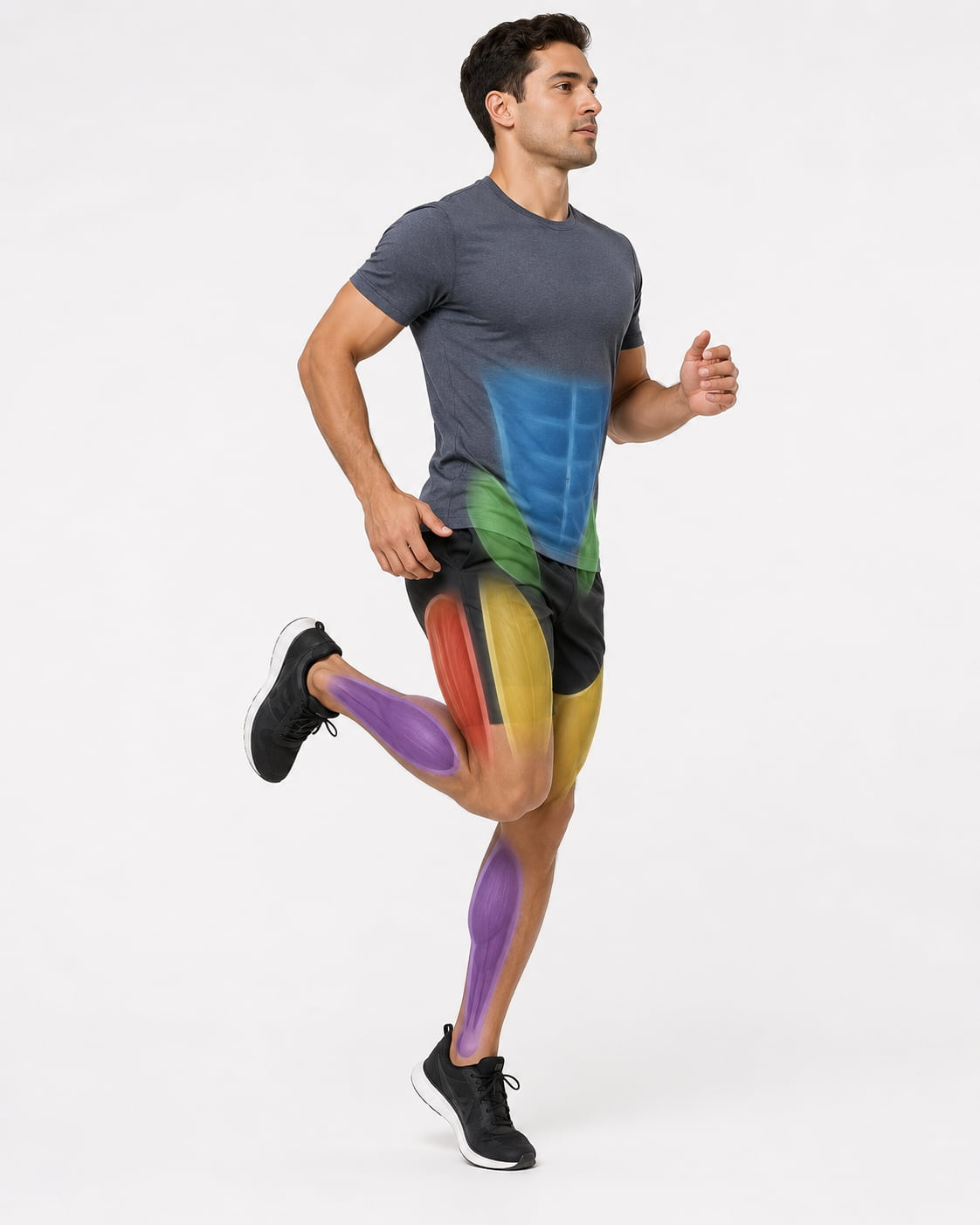 Muscles Worked by Butt Kicks