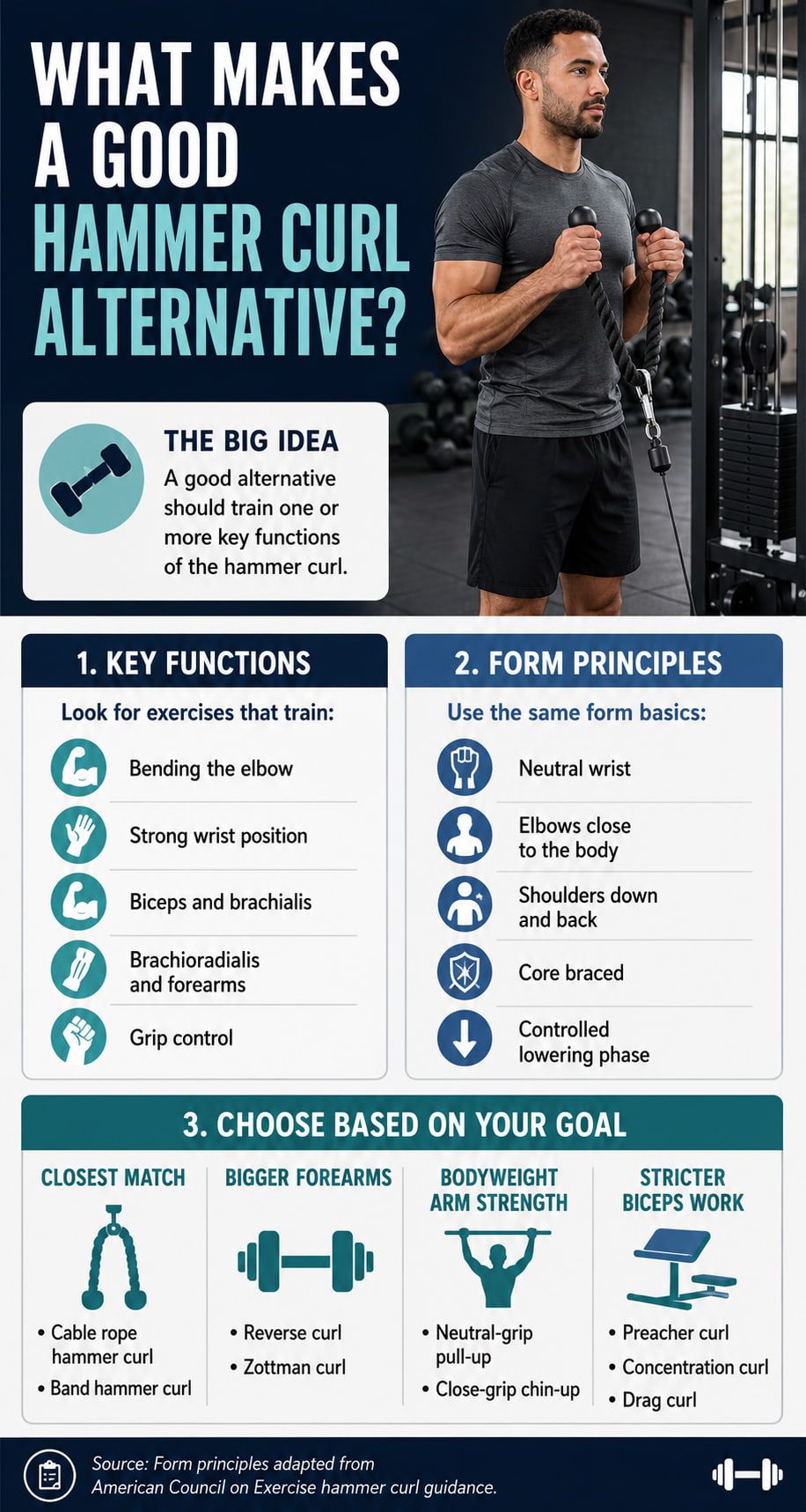 What Makes a Good Hammer Curl Alternative?