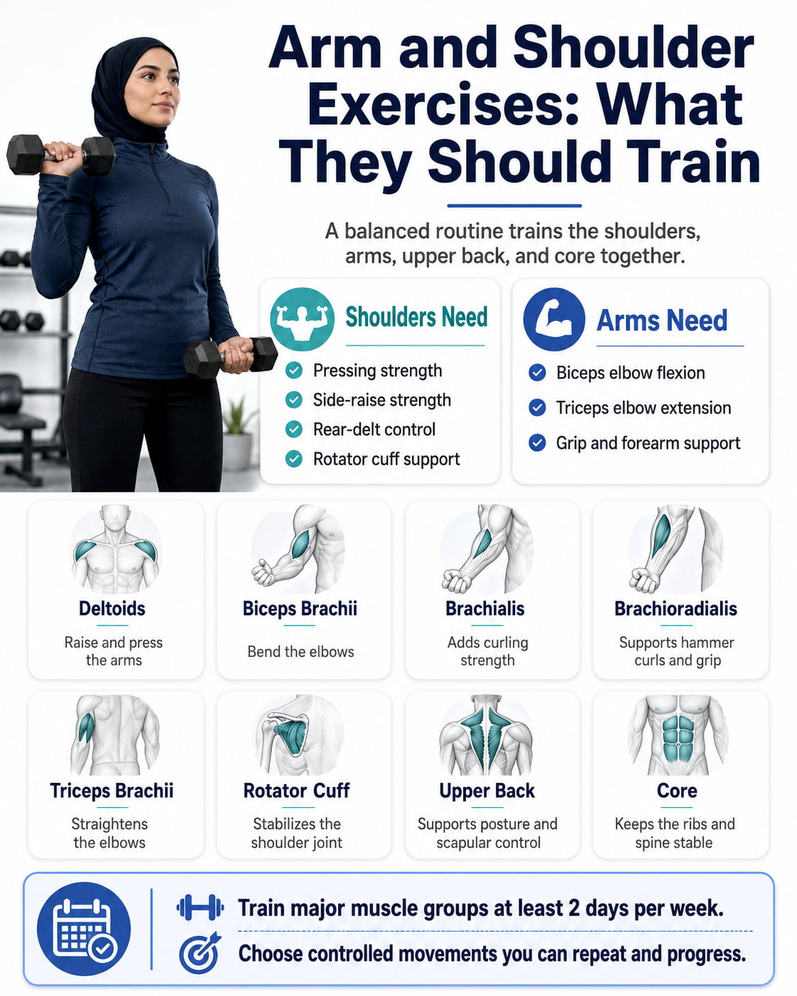 Arm and Shoulder Exercises: What They Should Train