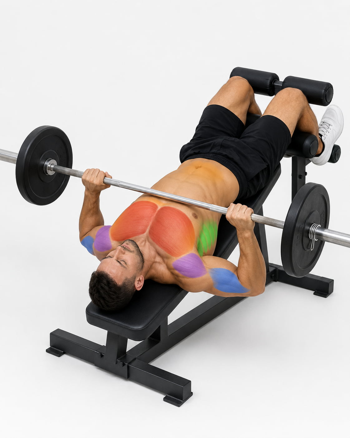 Decline Bench Press Muscles Worked