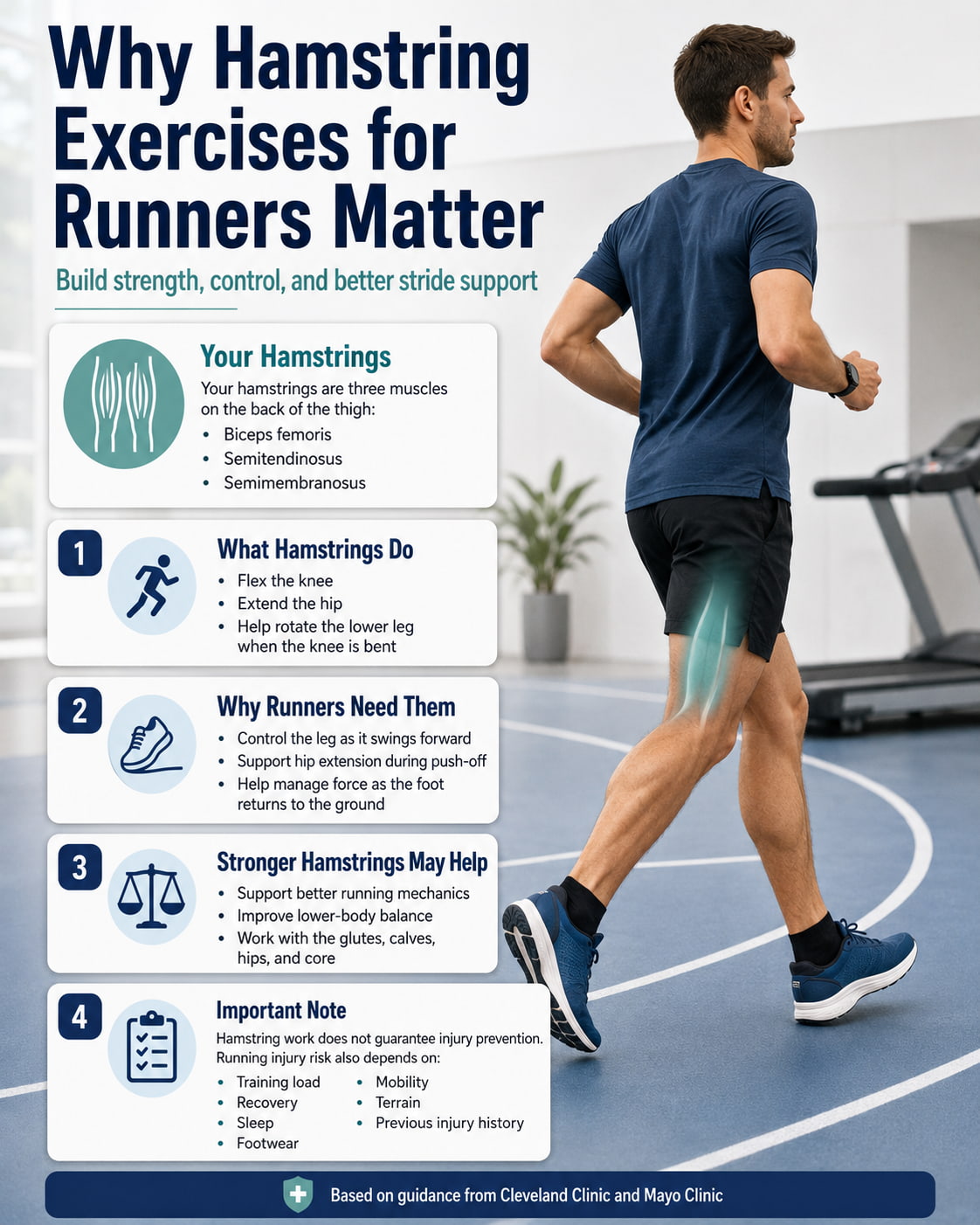 Why Hamstring Exercises for Runners Matter