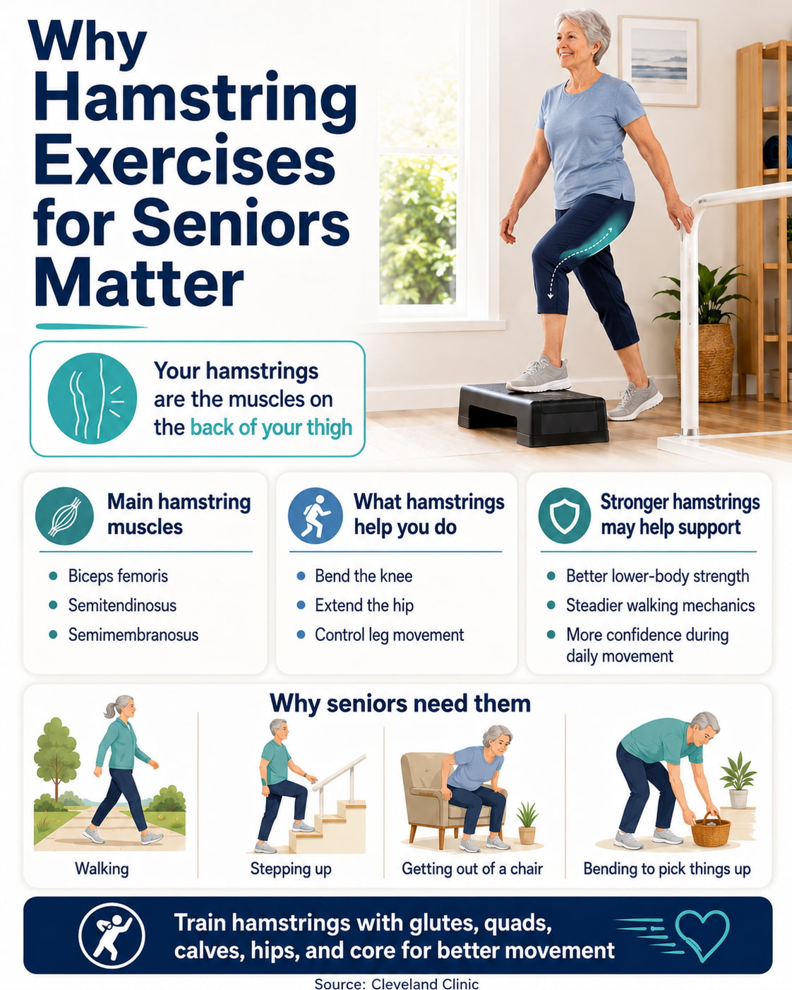 Why Hamstring Exercises for Seniors Matter