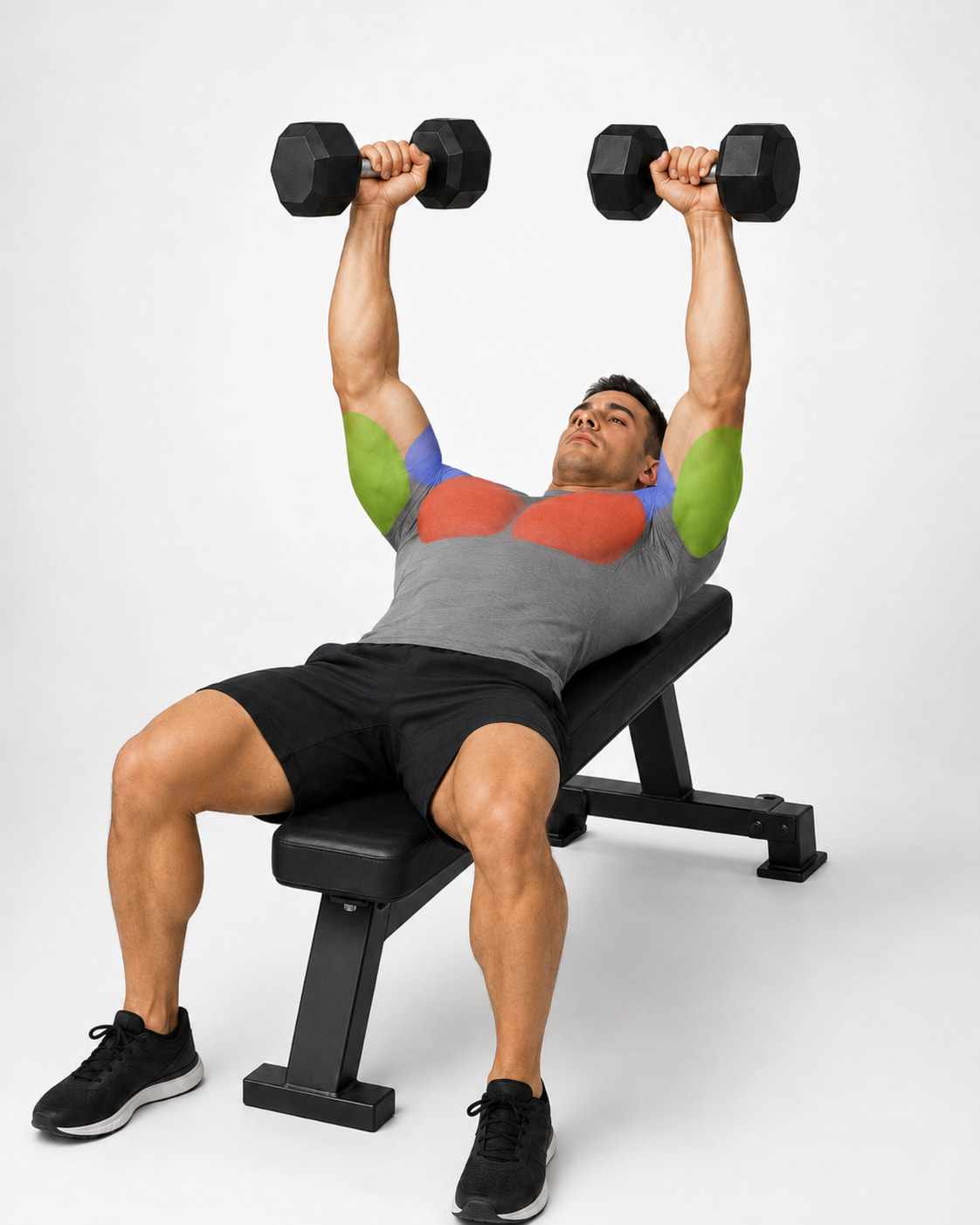 Dumbbell Bench Press Muscles Worked