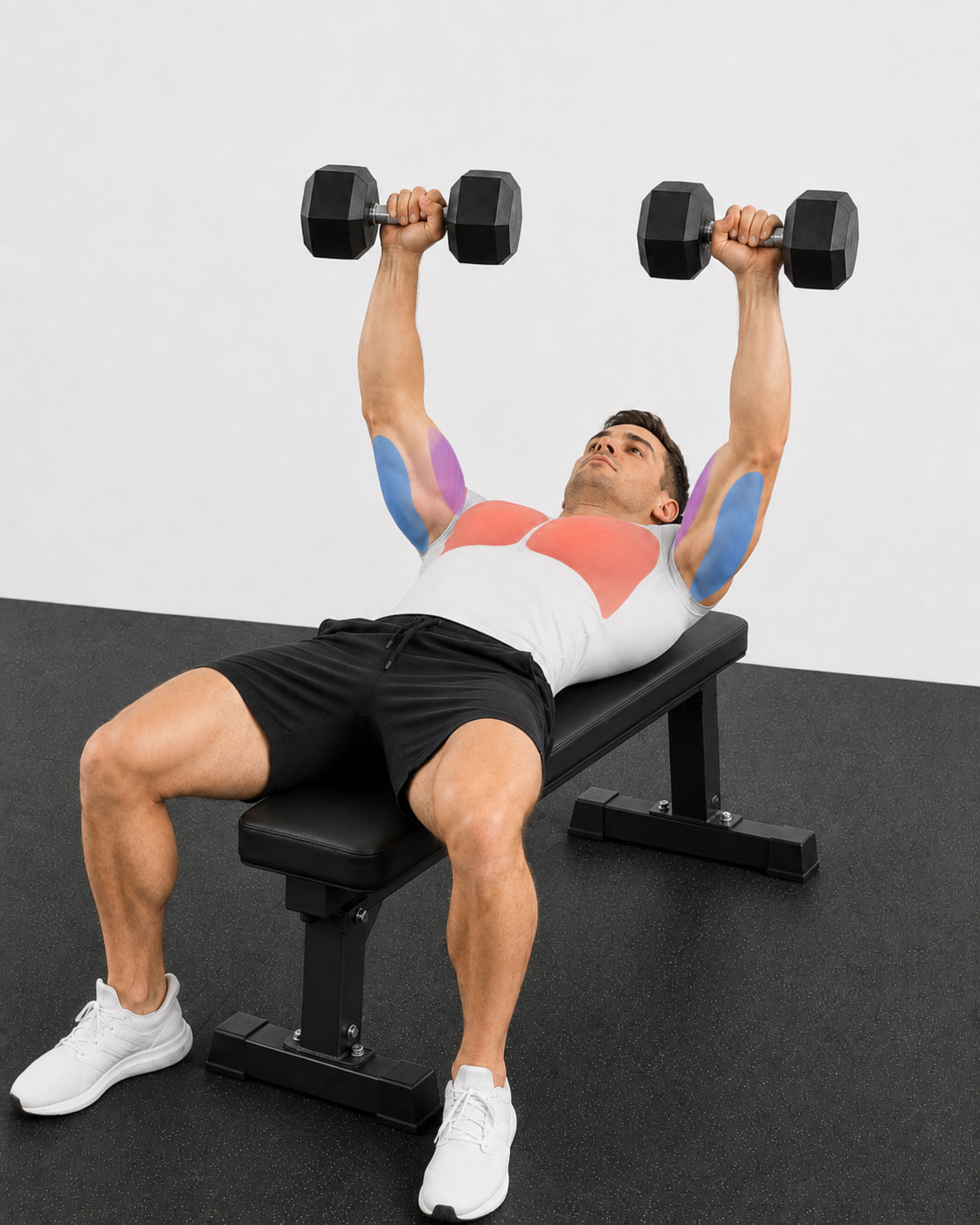 Dumbbell Chest Press Muscles Worked