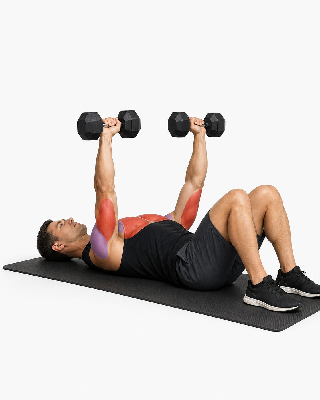 Dumbbell Floor Press Muscles Worked