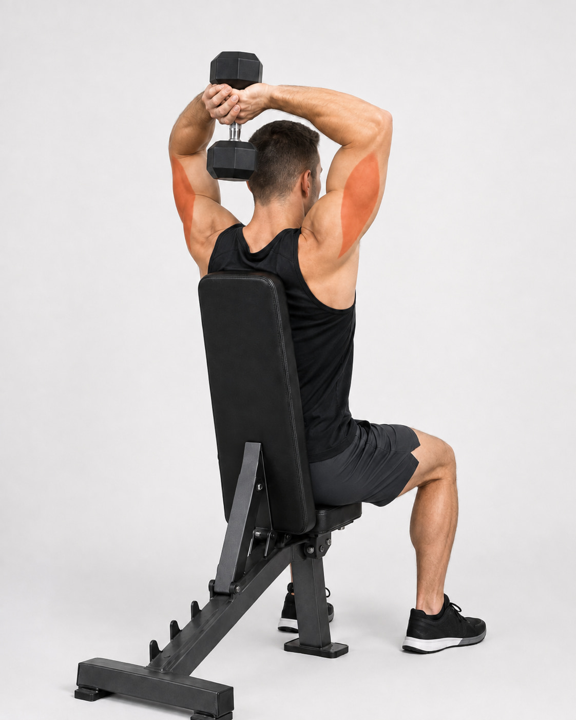 Dumbbell Overhead Extension Muscles Worked