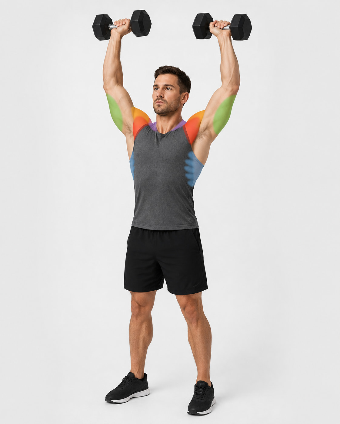 Dumbbell Shoulder Press Muscles Worked