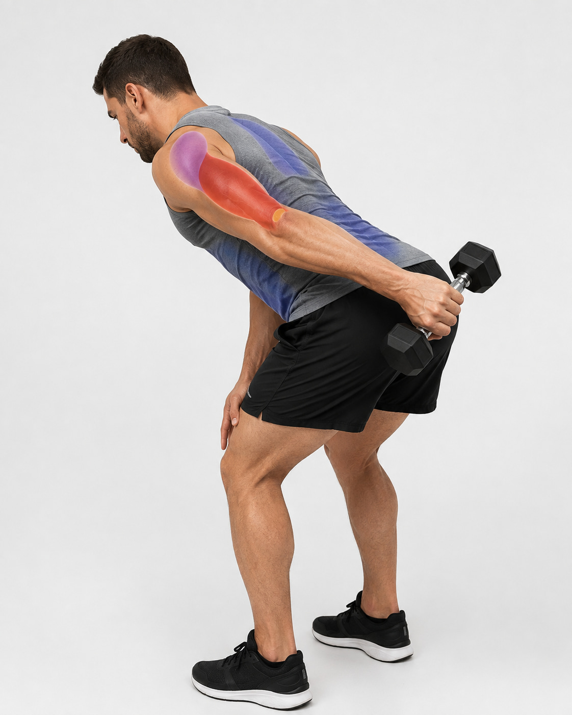 Dumbbell Tricep Kickback Muscles Worked