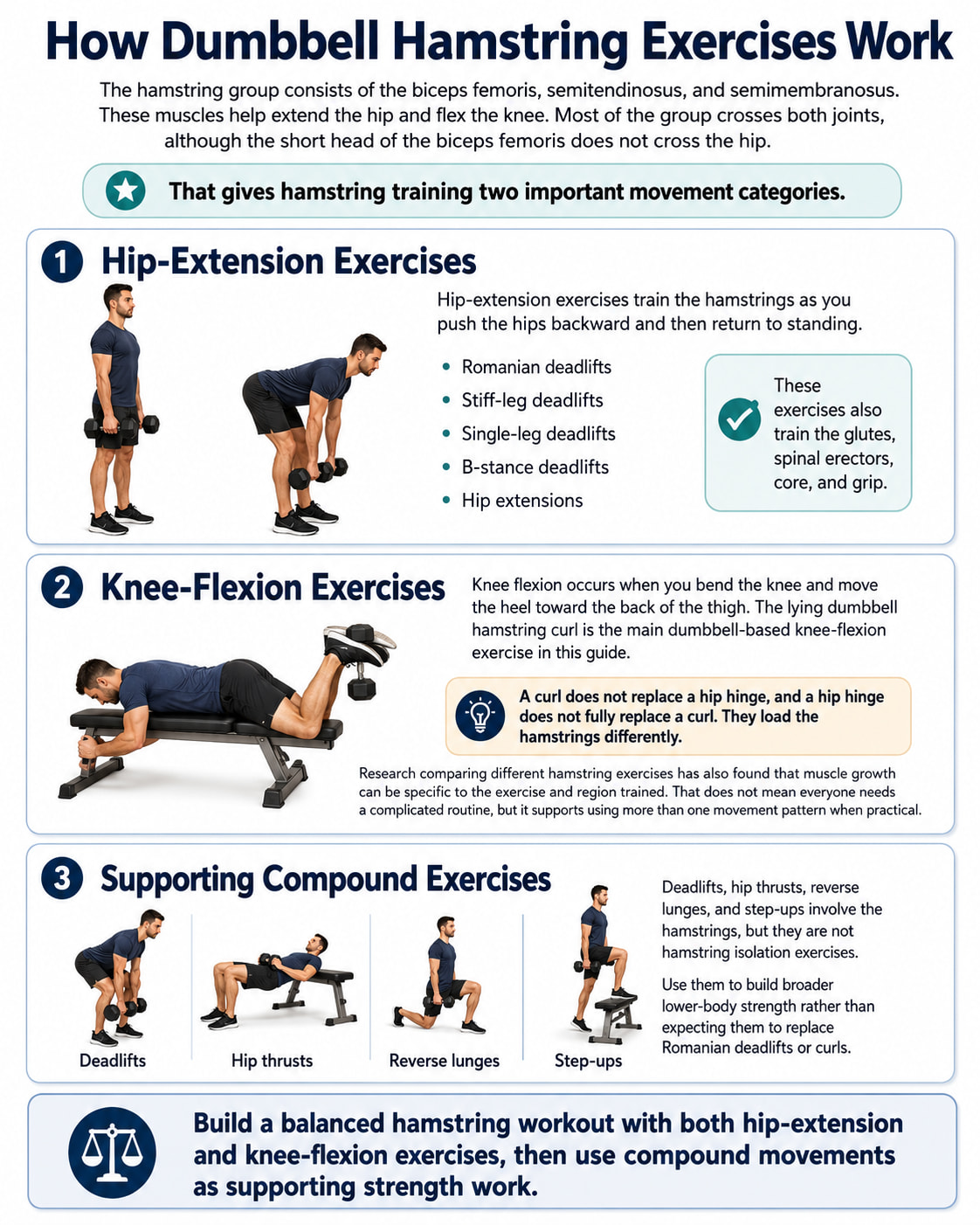 How Dumbbell Hamstring Exercises Work