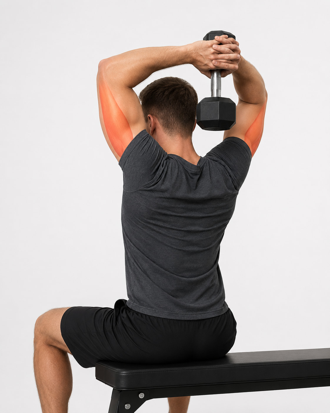 Muscles Worked by Dumbbell Tricep Extensions