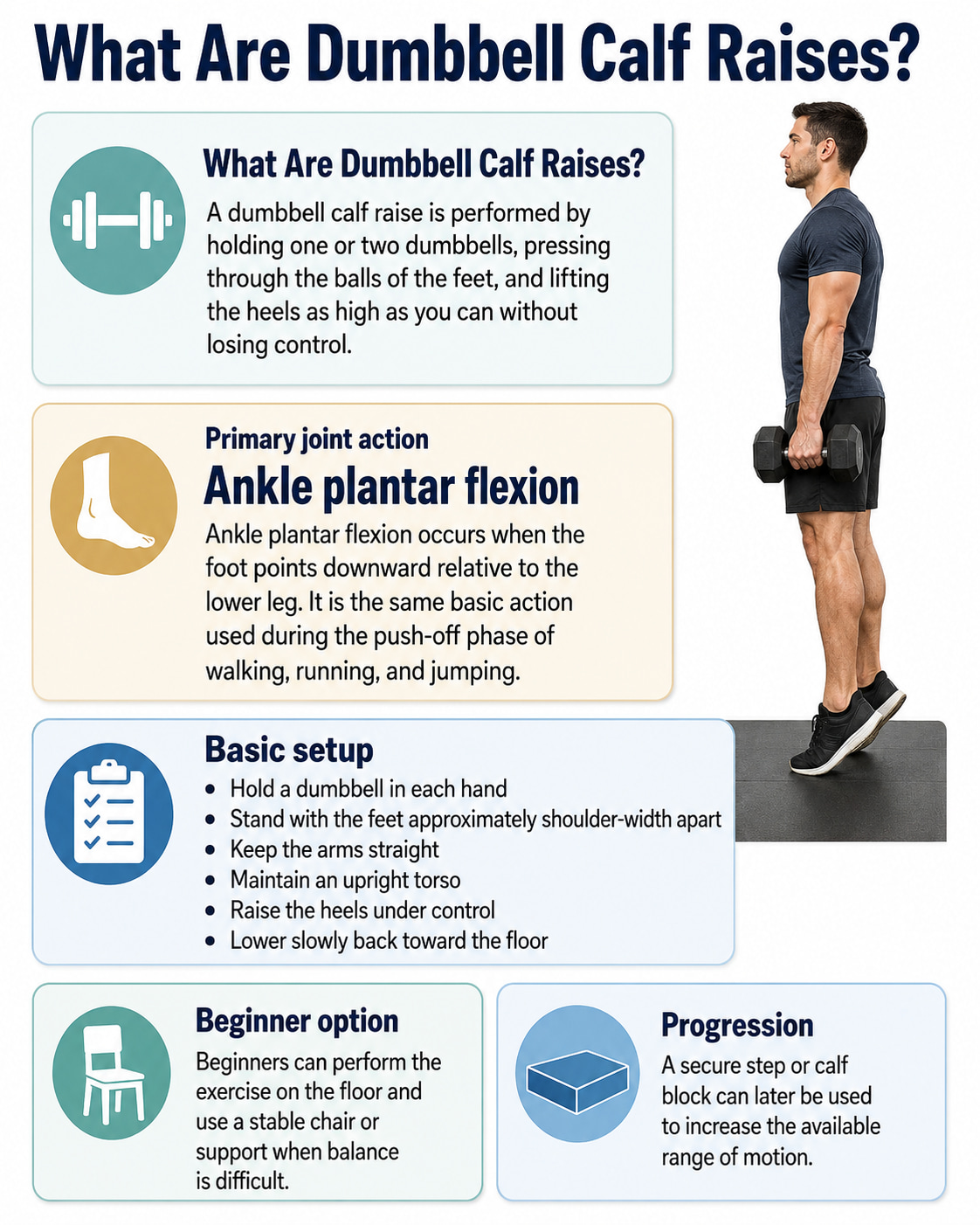 What Are Dumbbell Calf Raises?
