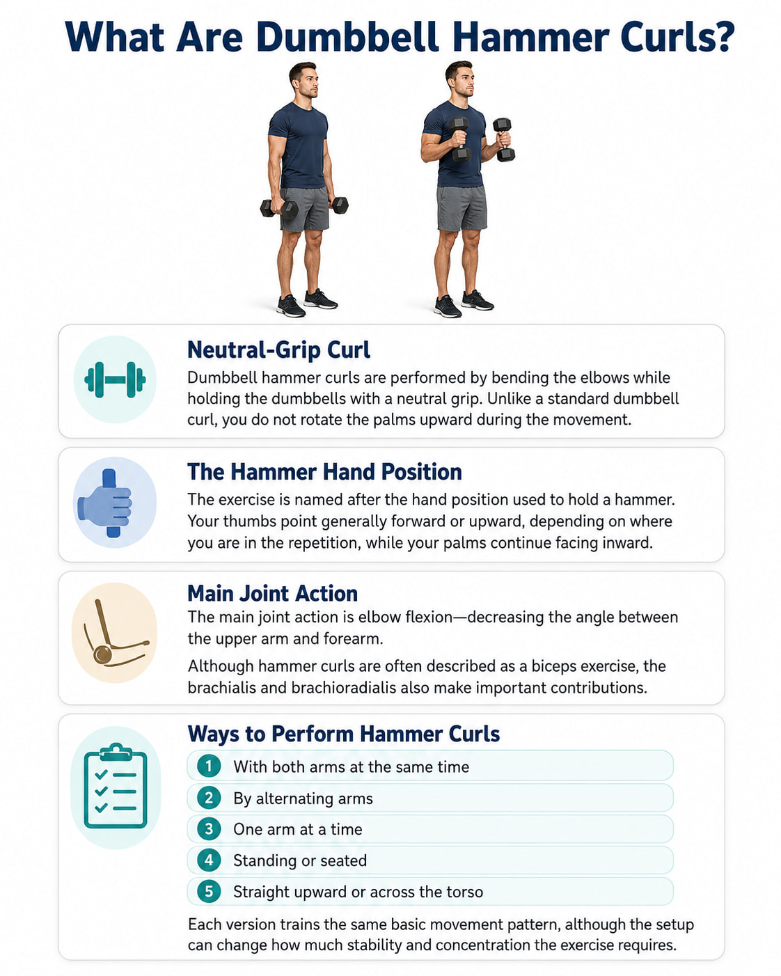 What Are Dumbbell Hammer Curls?