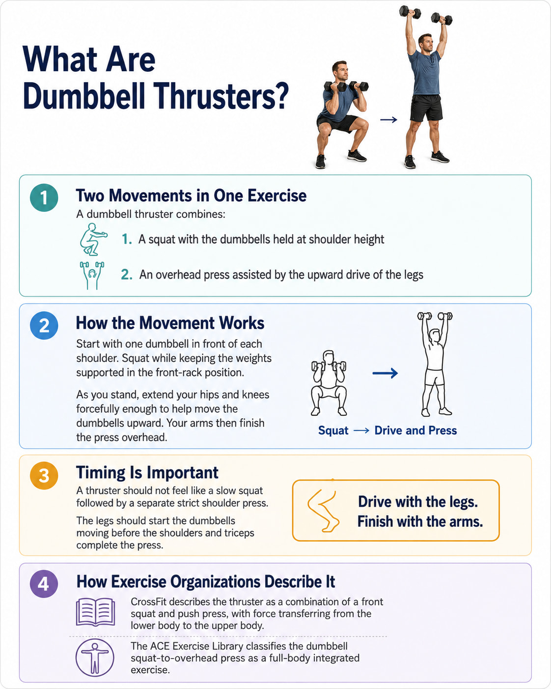 What Are Dumbbell Thrusters?