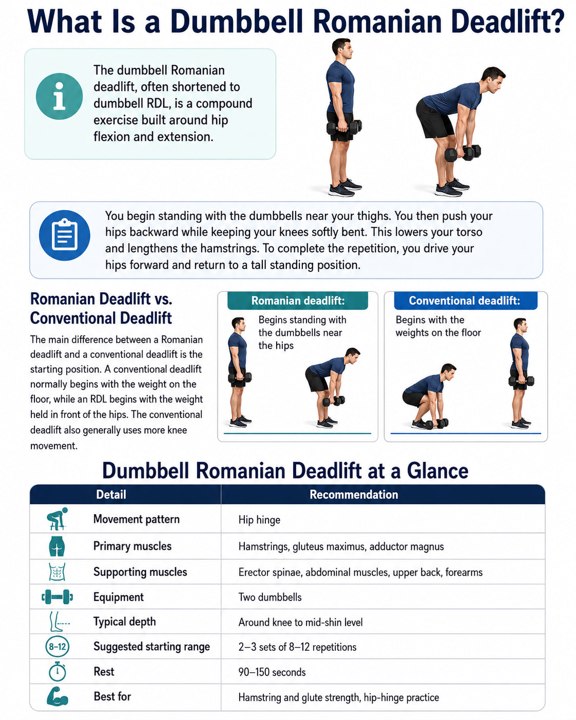 What Is a Dumbbell Romanian Deadlift?