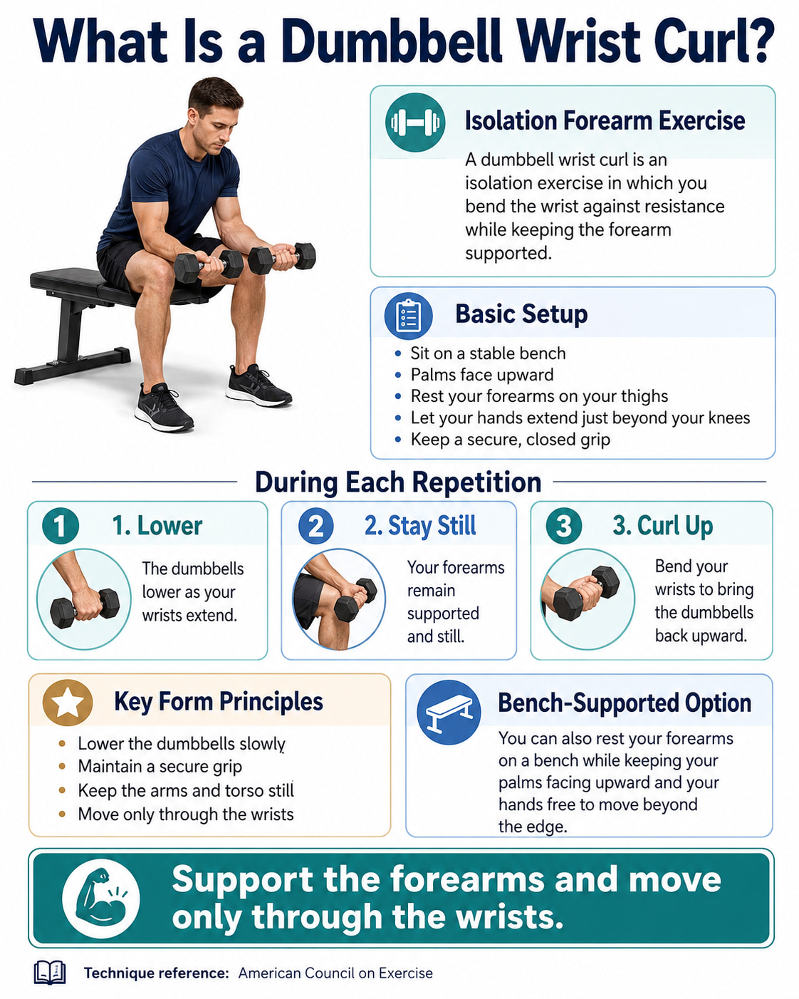 What Is a Dumbbell Wrist Curl?