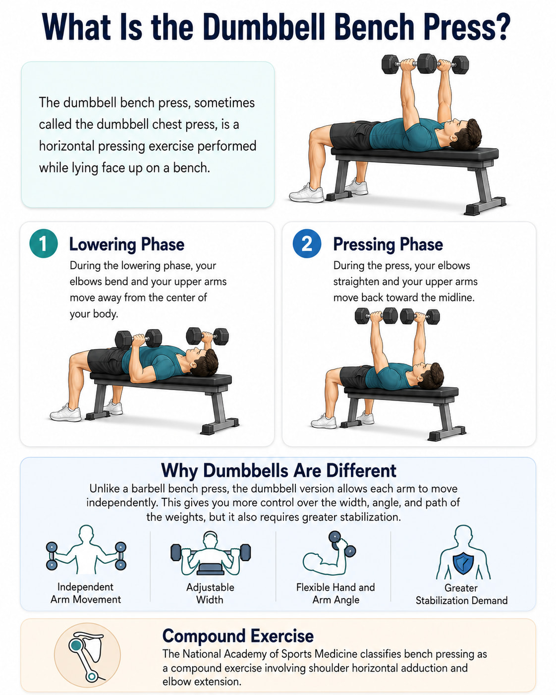 What Is the Dumbbell Bench Press?
