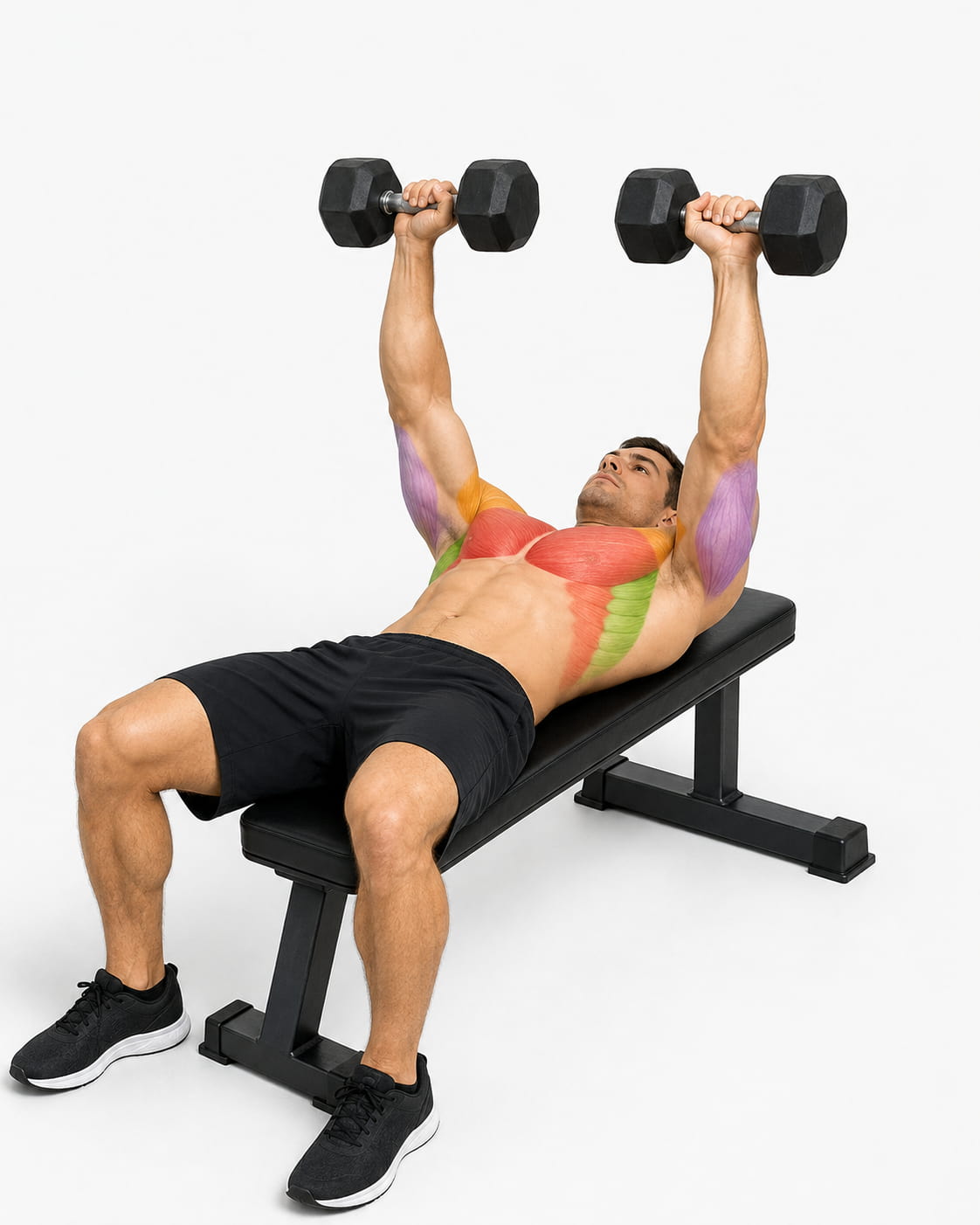 What Muscles Do Dumbbell Chest Exercises Work?