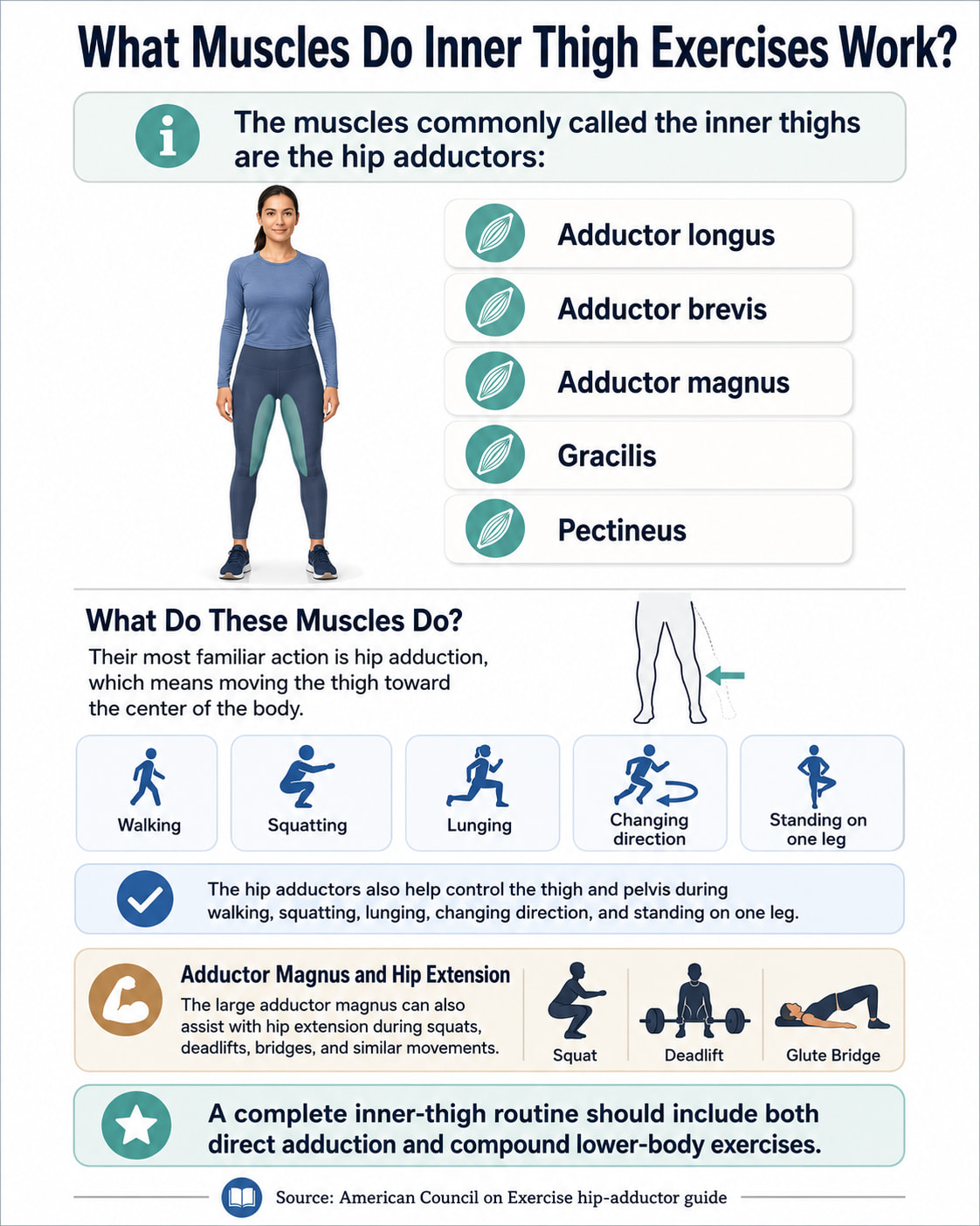 What Muscles Do Inner Thigh Exercises Work?