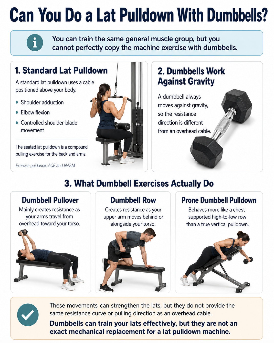 Can You Do a Lat Pulldown With Dumbbells?