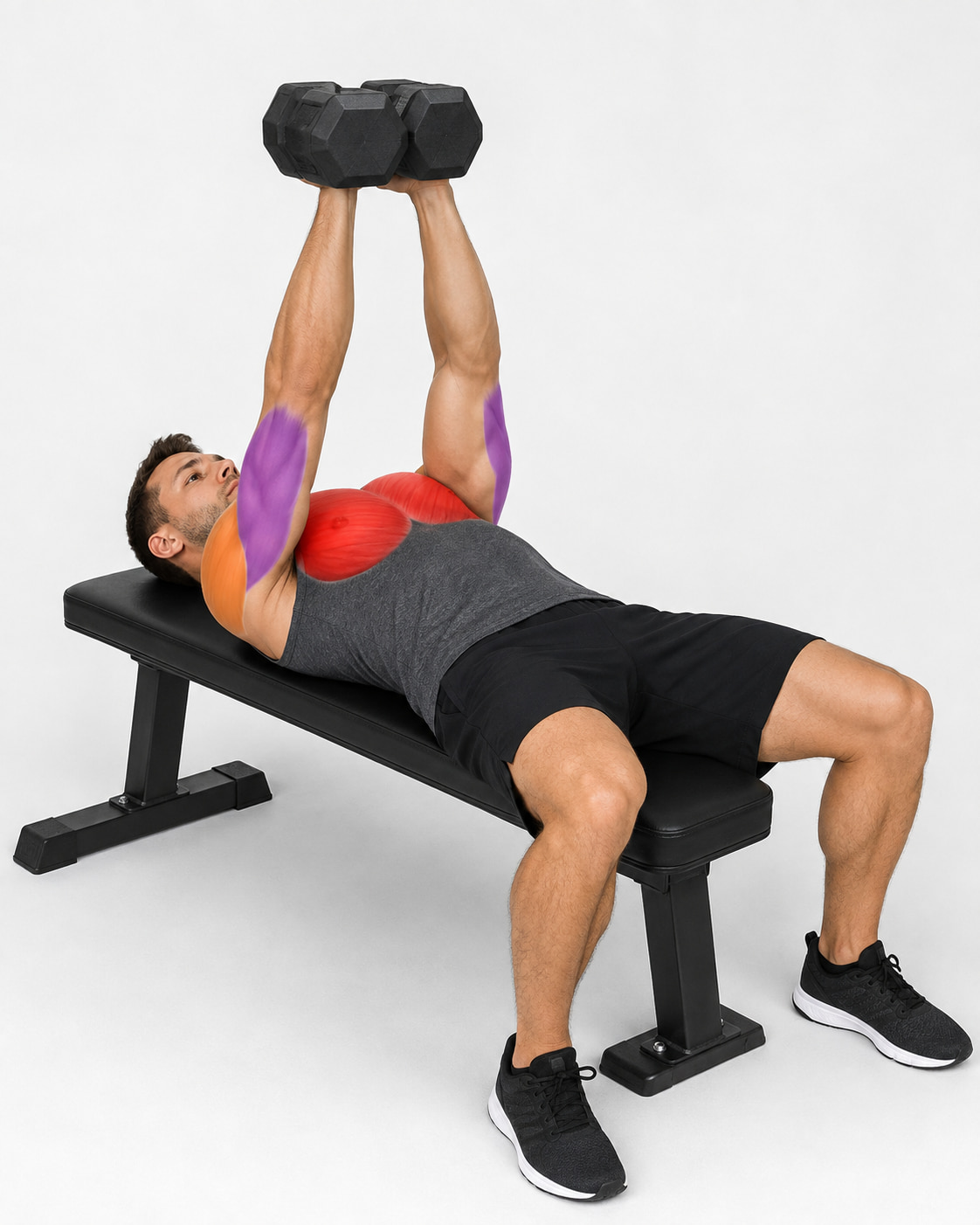 Dumbbell Hex Press Muscles Worked