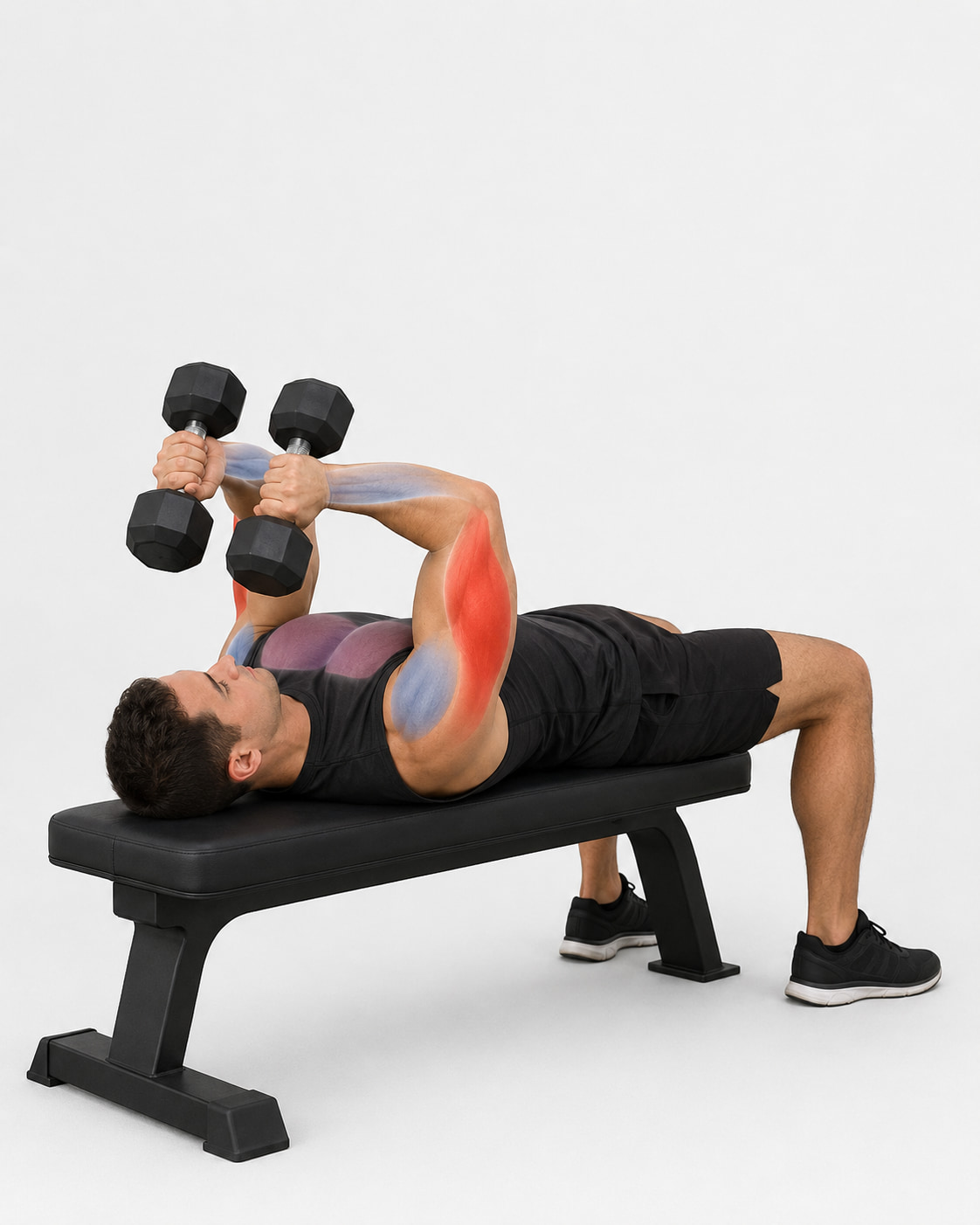 Dumbbell JM Press Muscles Worked