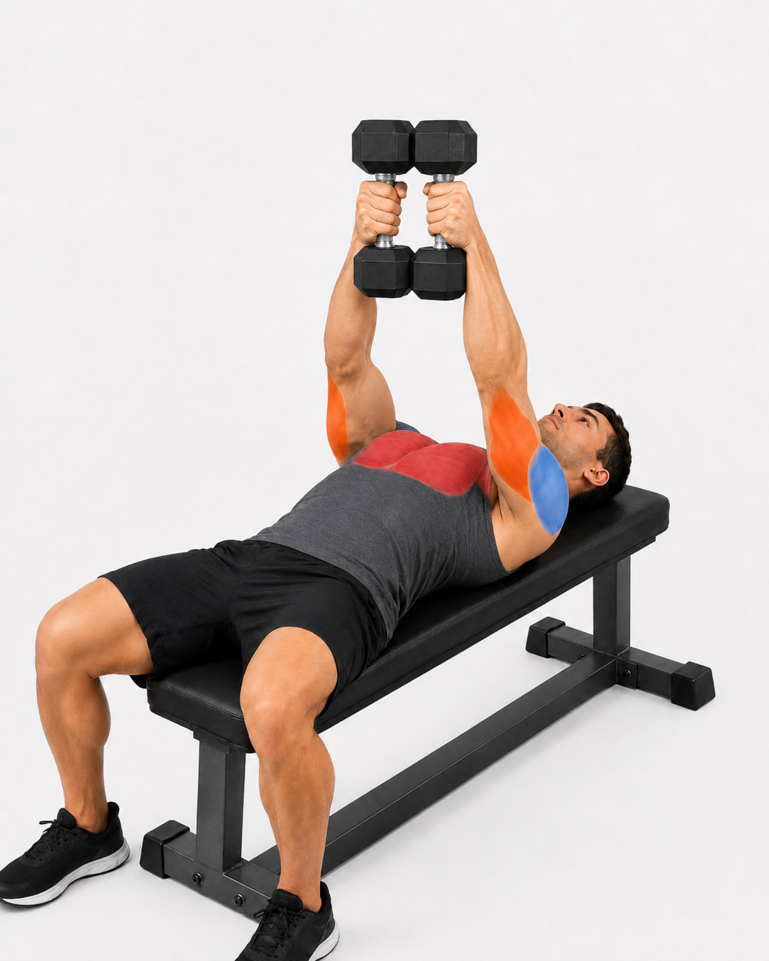 Dumbbell Squeeze Press Muscles Worked