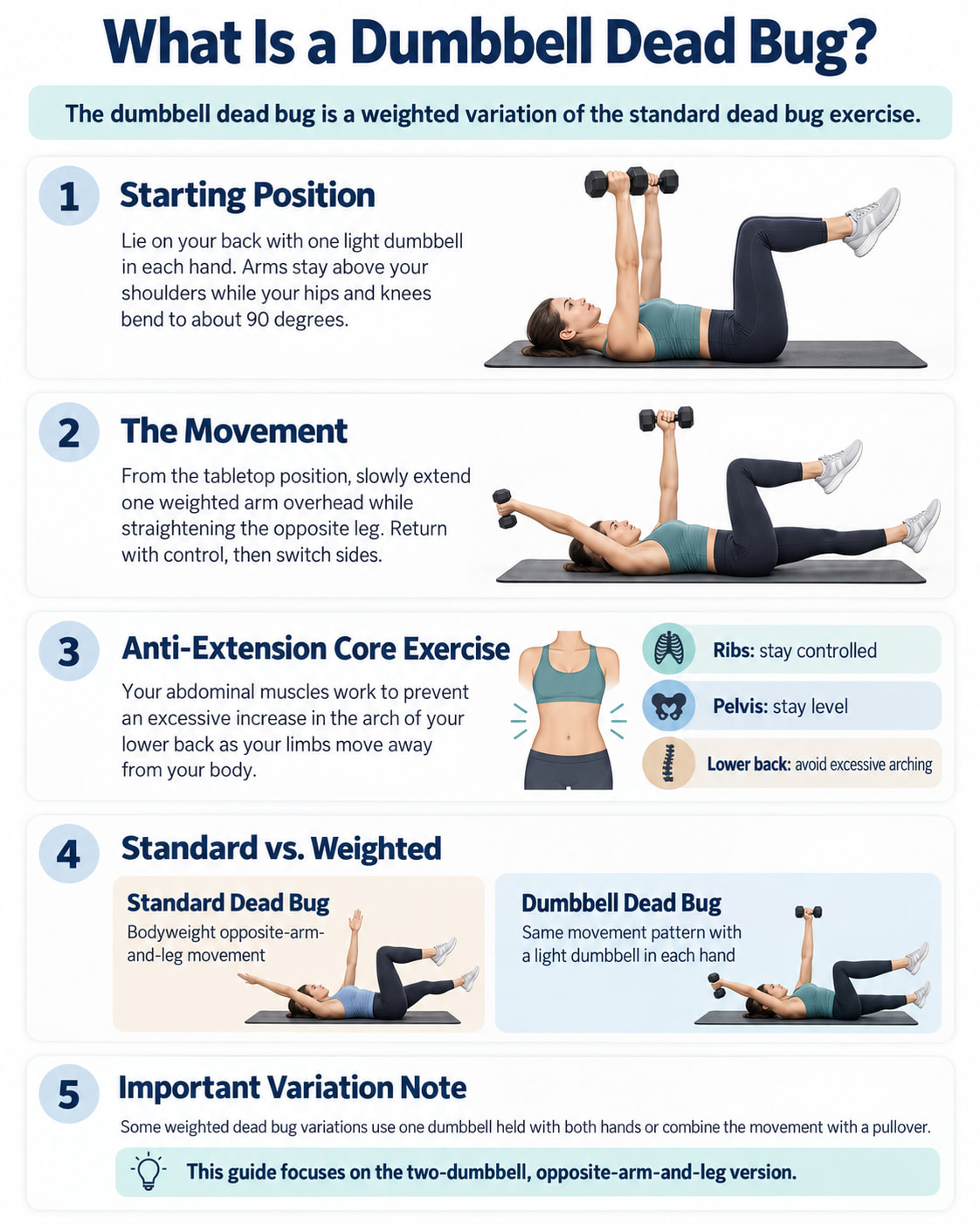 What Is a Dumbbell Dead Bug?