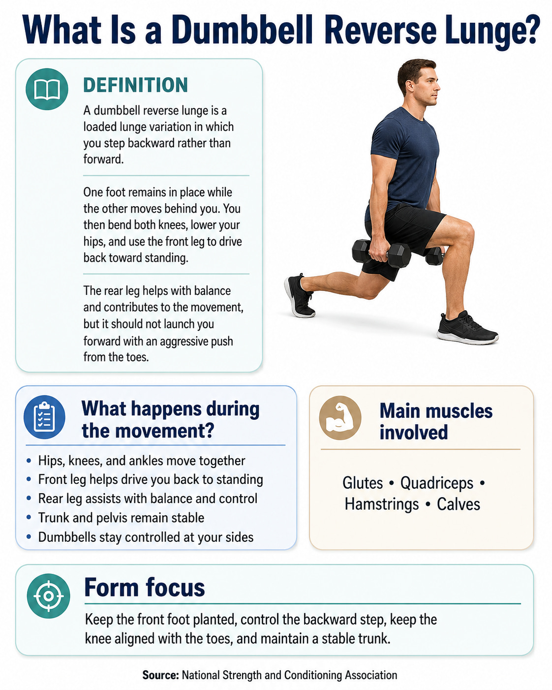 What Is a Dumbbell Reverse Lunge?
